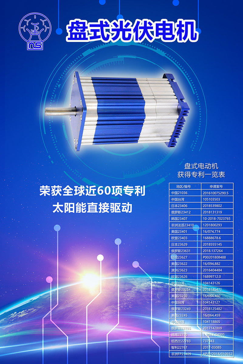 盤式光伏電機(圖1)