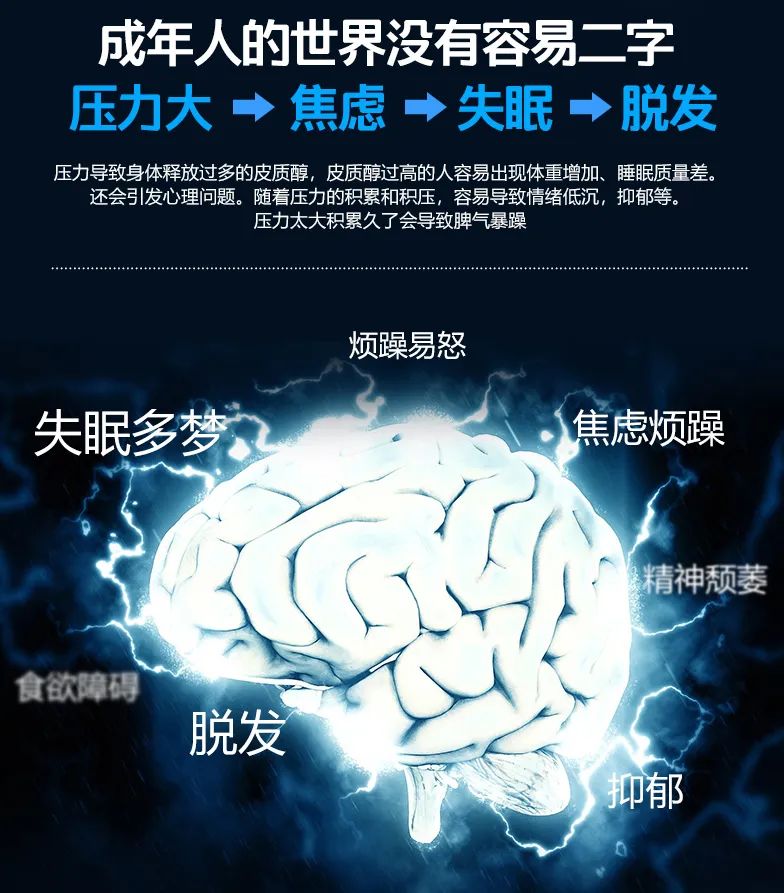 達(dá)圓邦能量代言帽(圖2)