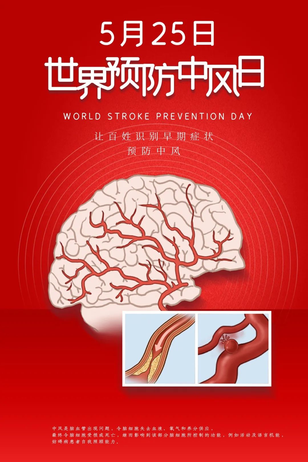 達(dá)圓邦能量代言帽(圖4)